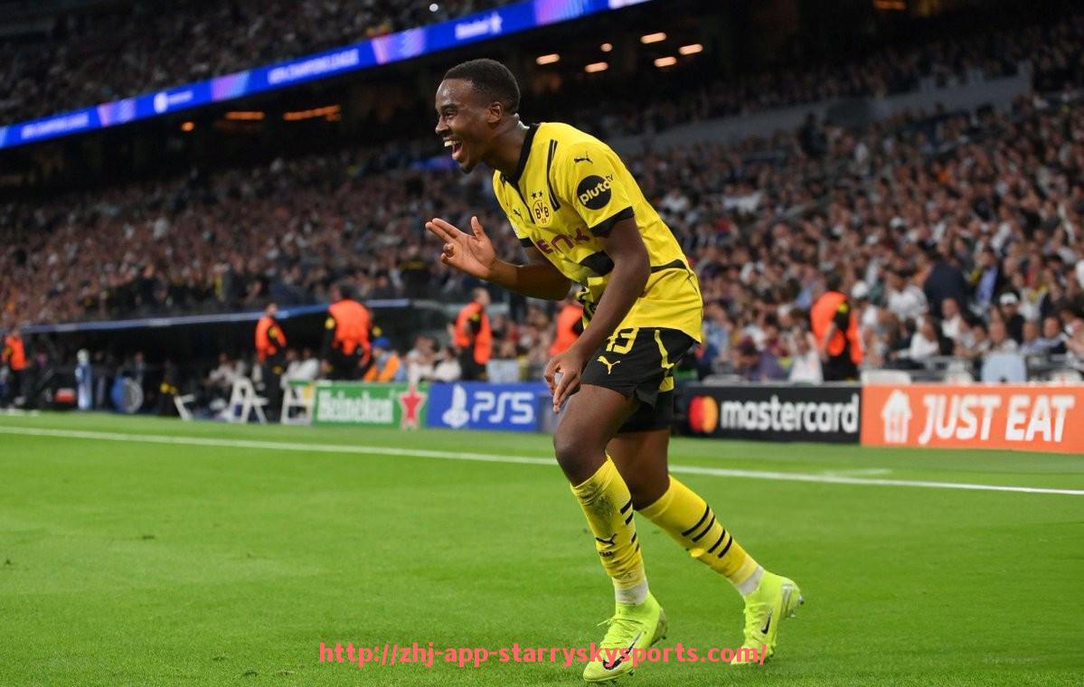 星空体育app-德甲球队底蕴排名及其在欧洲的地位