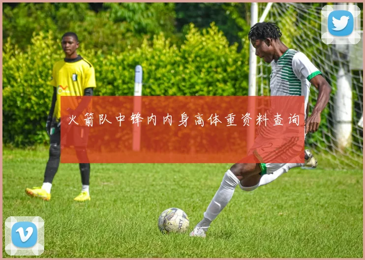 火箭队中锋内内身高体重资料查询
