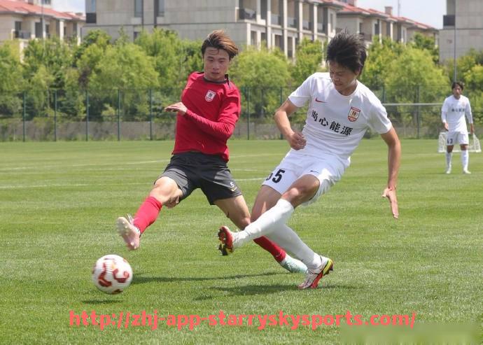 星空体育app-德甲球队称号大全及图片汇总（含外号与绰号）